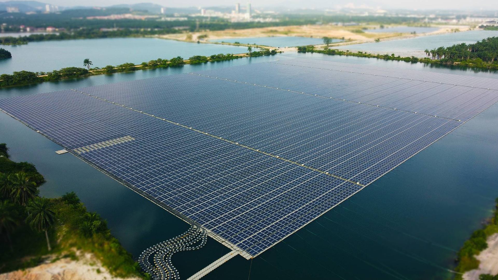 ���Կ��������