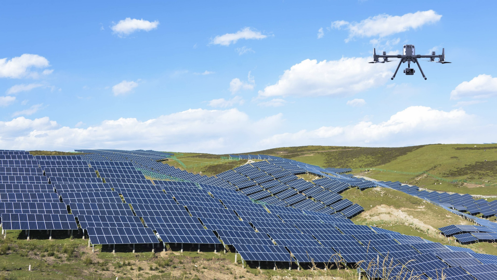 ����Ѳ������������AI�ػ�