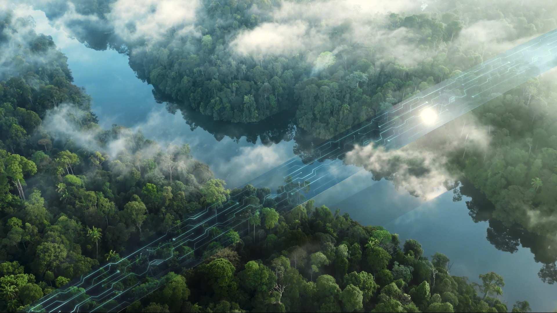 ����������������