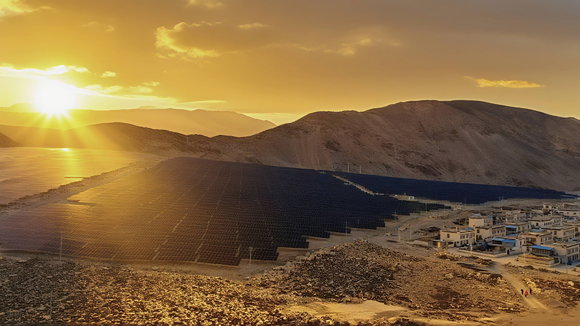 ��ά������������������ѩ��֮��