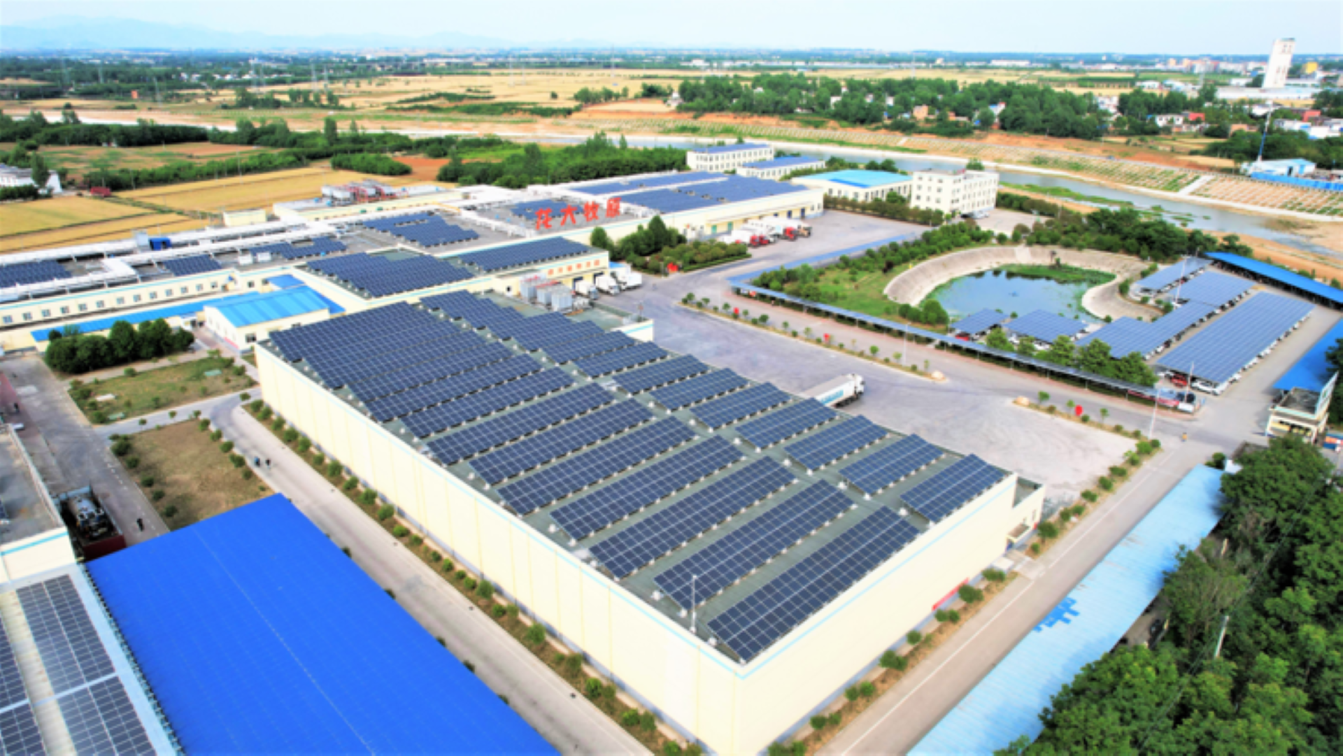 ΪС��������