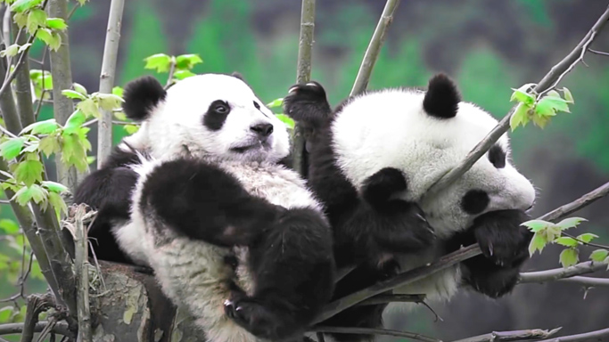 qyǧ��-ǧ�����ѻ�-ǧ�����ѻ����