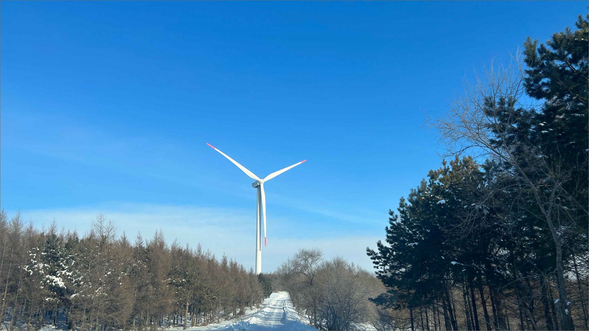 qyǧ��-ǧ�����ѻ�-ǧ�����ѻ����