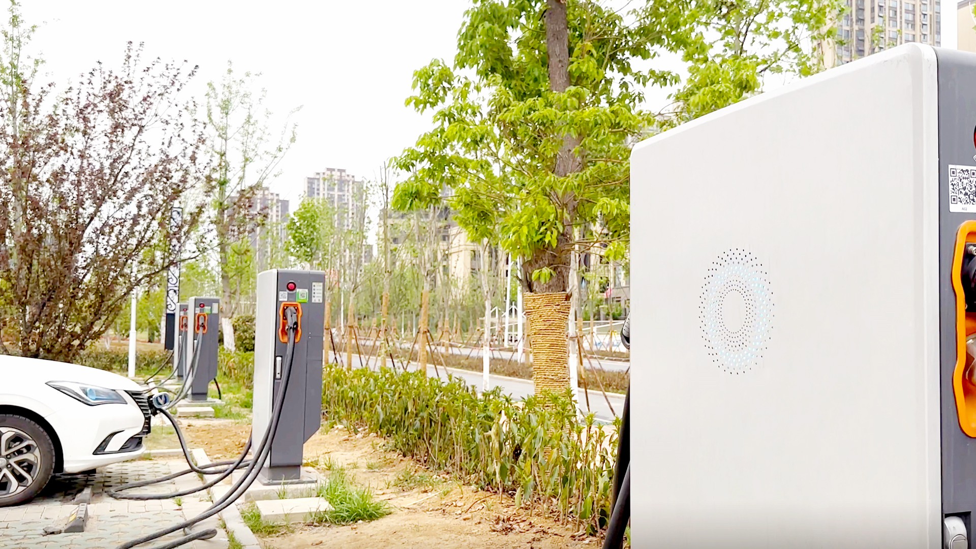 qyǧ��-ǧ�����ѻ�-ǧ�����ѻ����