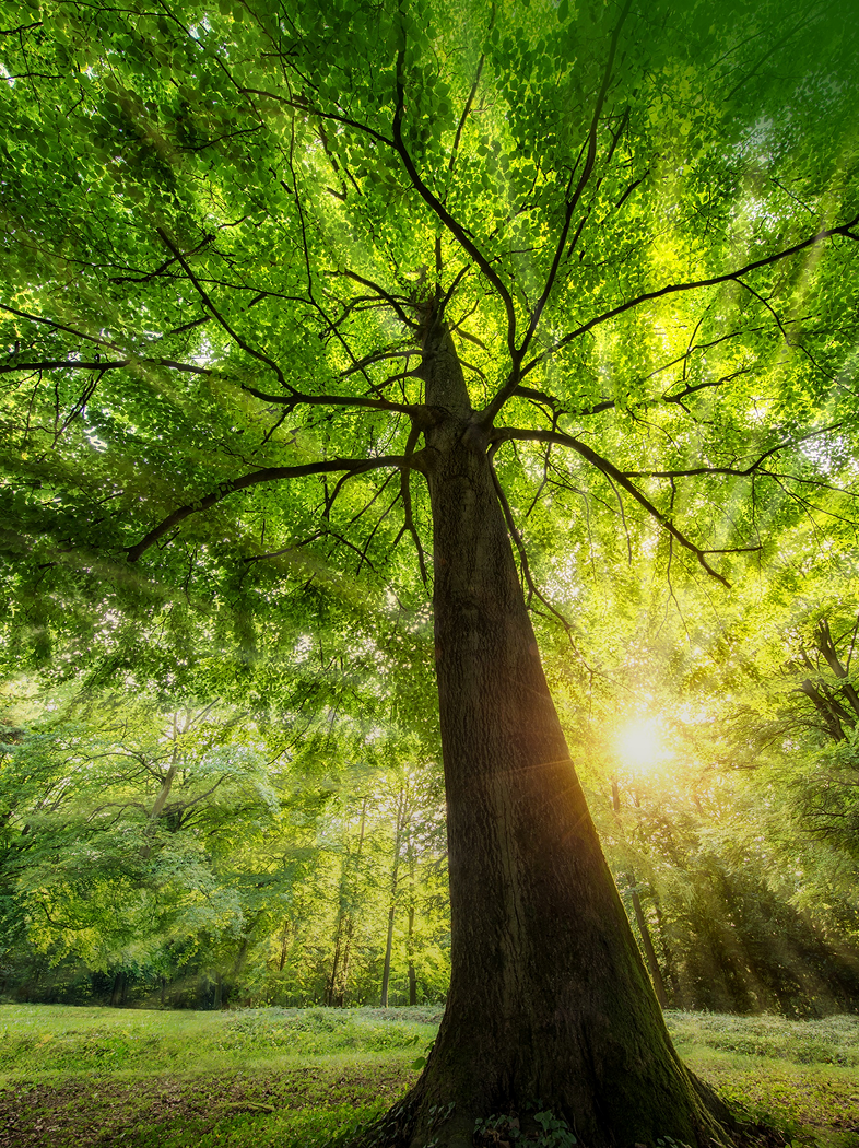 qyǧ��-ǧ�����ѻ�-ǧ�����ѻ����