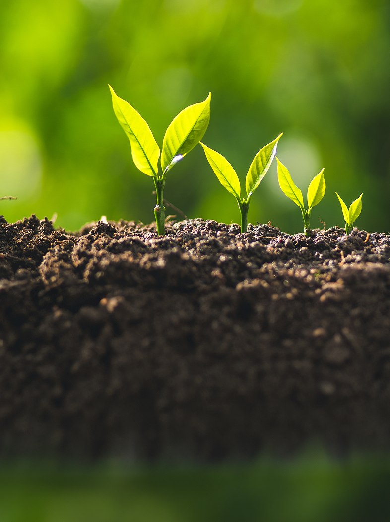 qyǧ��-ǧ�����ѻ�-ǧ�����ѻ����